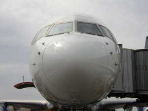 Nose Section
