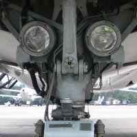 Nose gear landing lights.